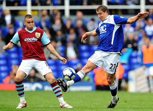 杨莉娜的成 杨莉娜的成