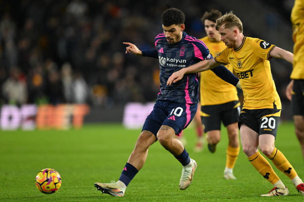 整合新球员 整合新球员