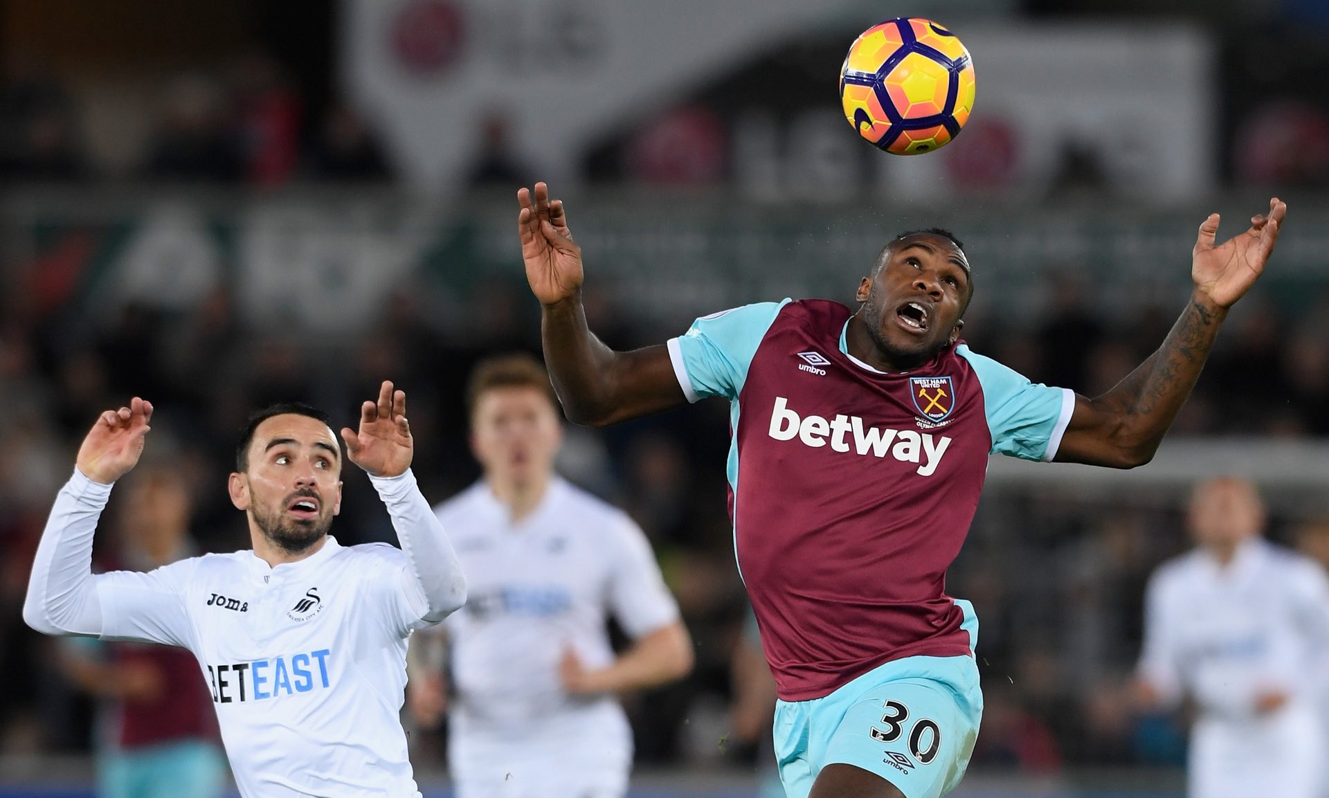 多地起到牵 多地起到牵