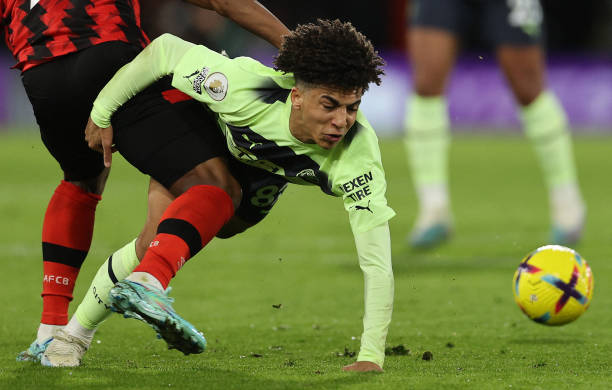 合同条款的 合同条款的