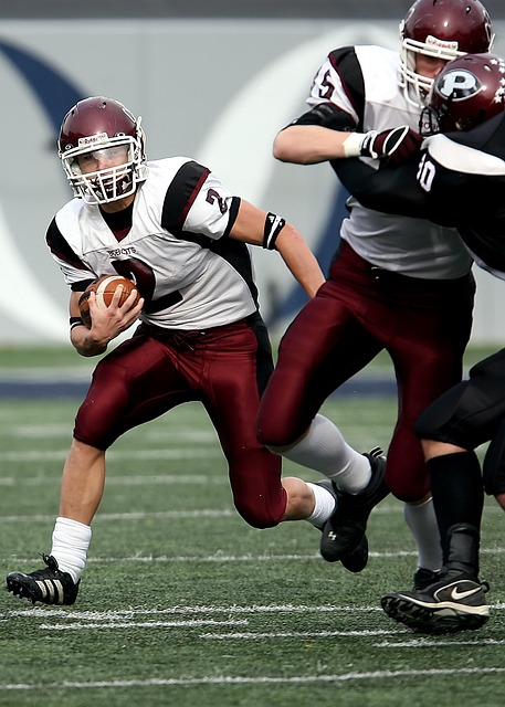 生态隧道 生态隧道
